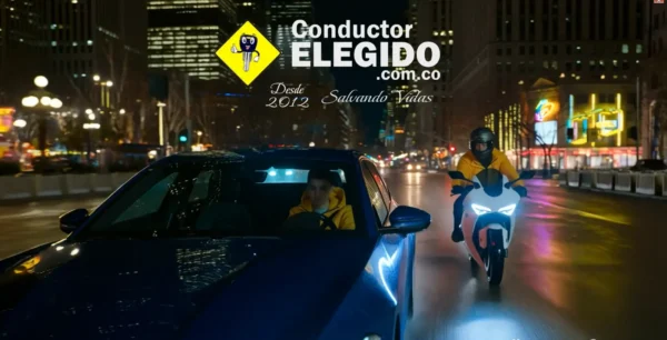 Conductor Elegido Profesional