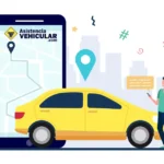 Conductor Profesional de Asistencia Vehicular