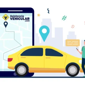 Conductor Profesional de Asistencia Vehicular