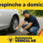 Despinche a domicilio